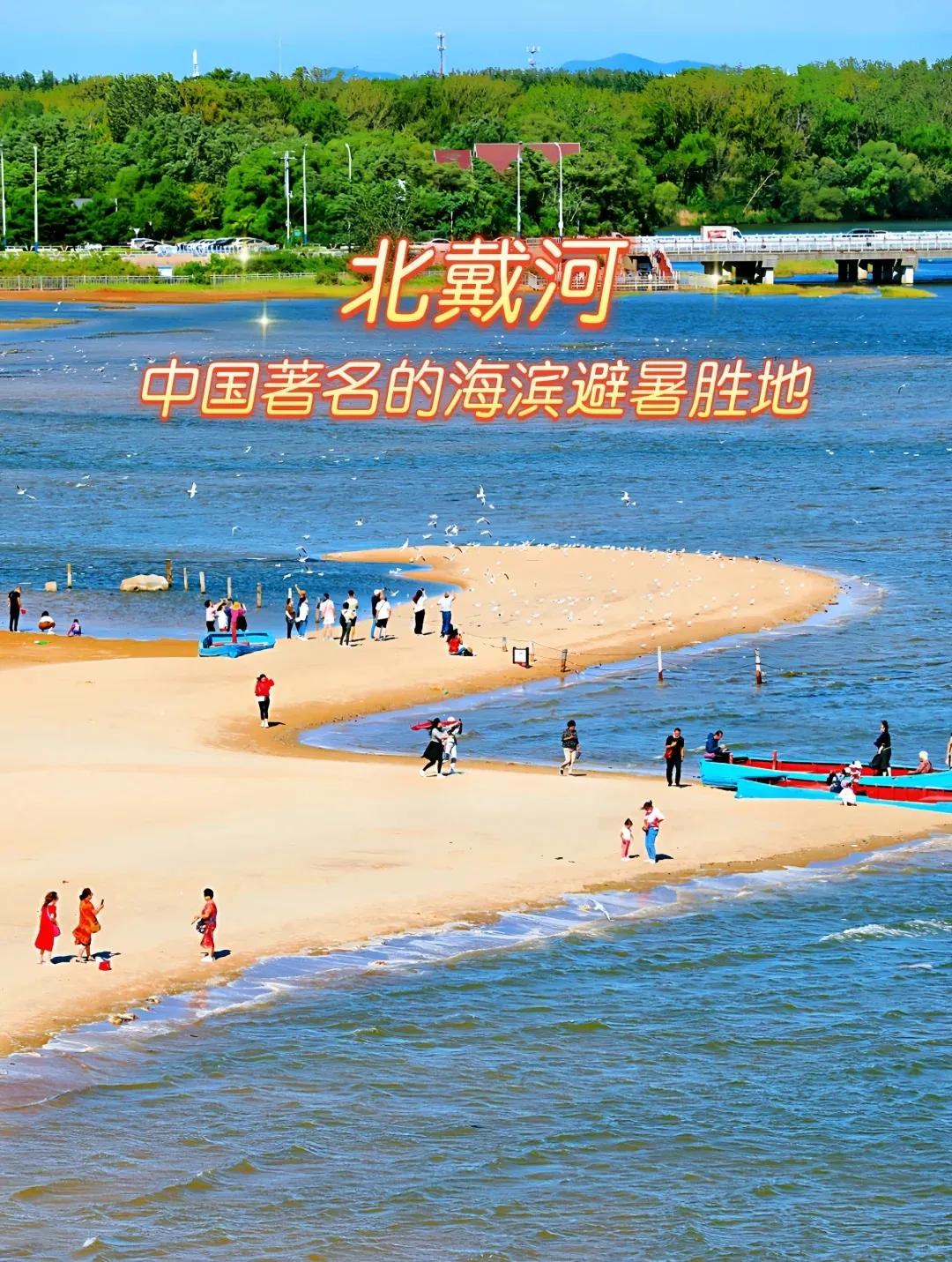 d9c6b8fc8f3836dc3bbf5aa1dd85d340-sz_529149 d9c6b8fc8f3836dc3bbf5aa1dd85d340-sz_529149