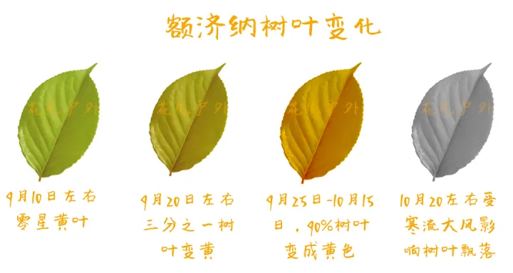 dbc0316e7c7b7a97fdca7d95d9218be3-sz_160015