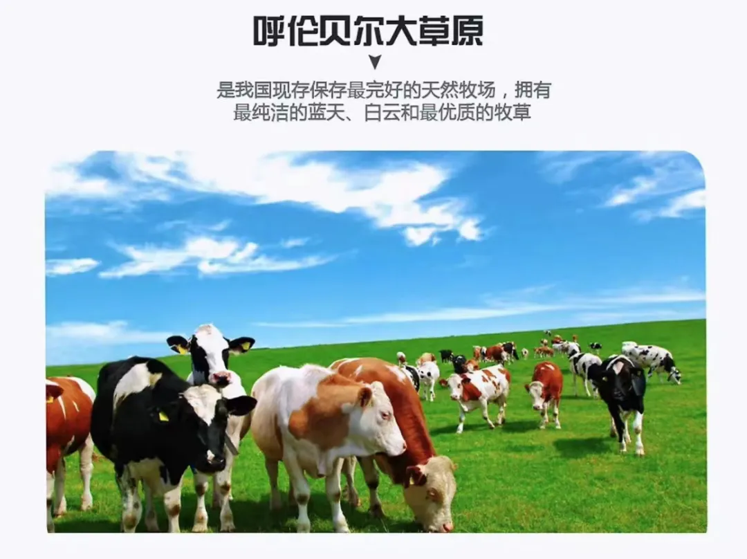 2025年暑假【越野越草原呼伦贝尔】双飞6日·2-6人精品小包团 | 走进牧草王国-