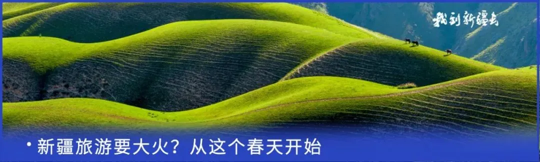 e0d50b92321f325ce17bb70d4f70a015-sz_869188 e0d50b92321f325ce17bb70d4f70a015-sz_869188