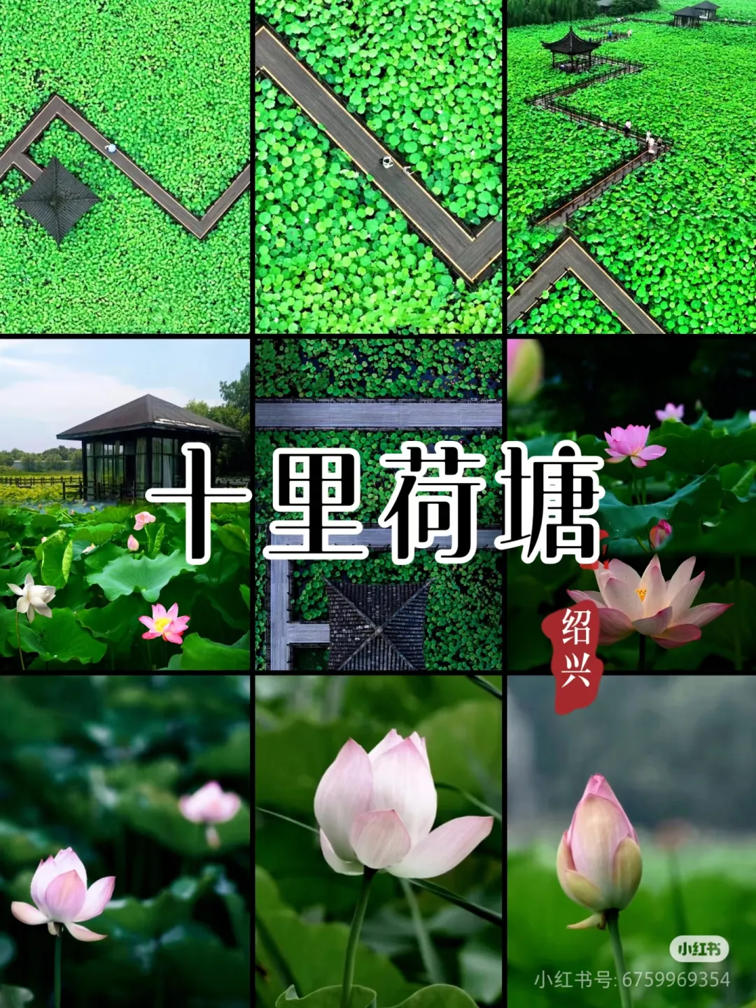 e10466480b59e2fc5b2b95ef76334c38-sz_1875543 e10466480b59e2fc5b2b95ef76334c38-sz_1875543