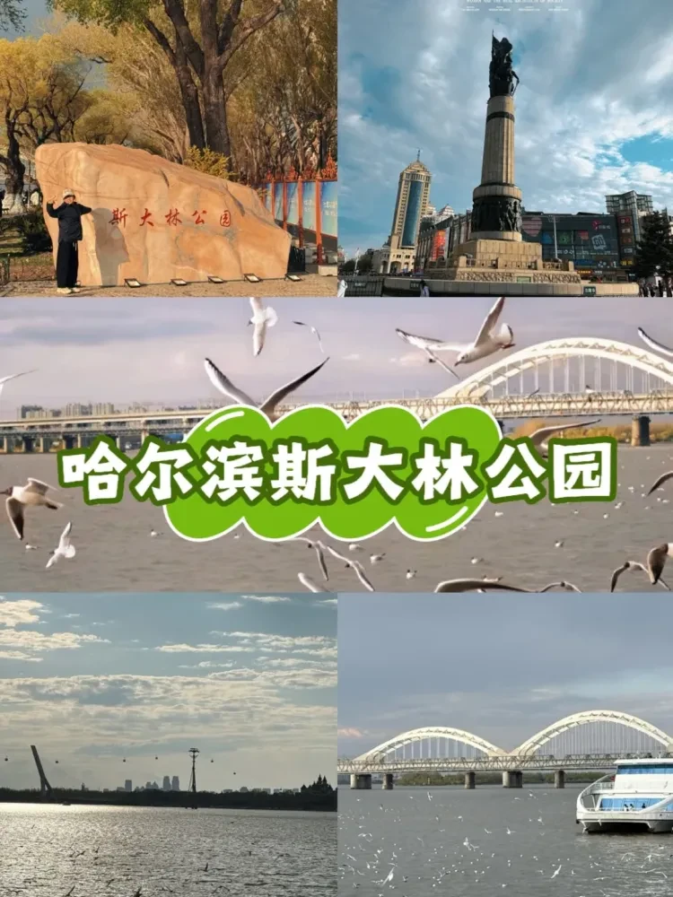 e54191c89dd9b16f766084e3a5d01f1d-sz_2822048