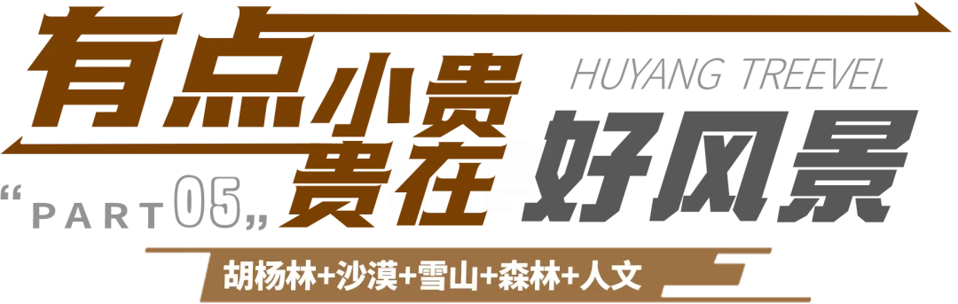 e826133759fef8011e88a46a9e2ddeab-sz_70501