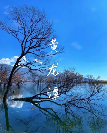 f01c08bc83f53b78979adb392f3a9973-sz_498662