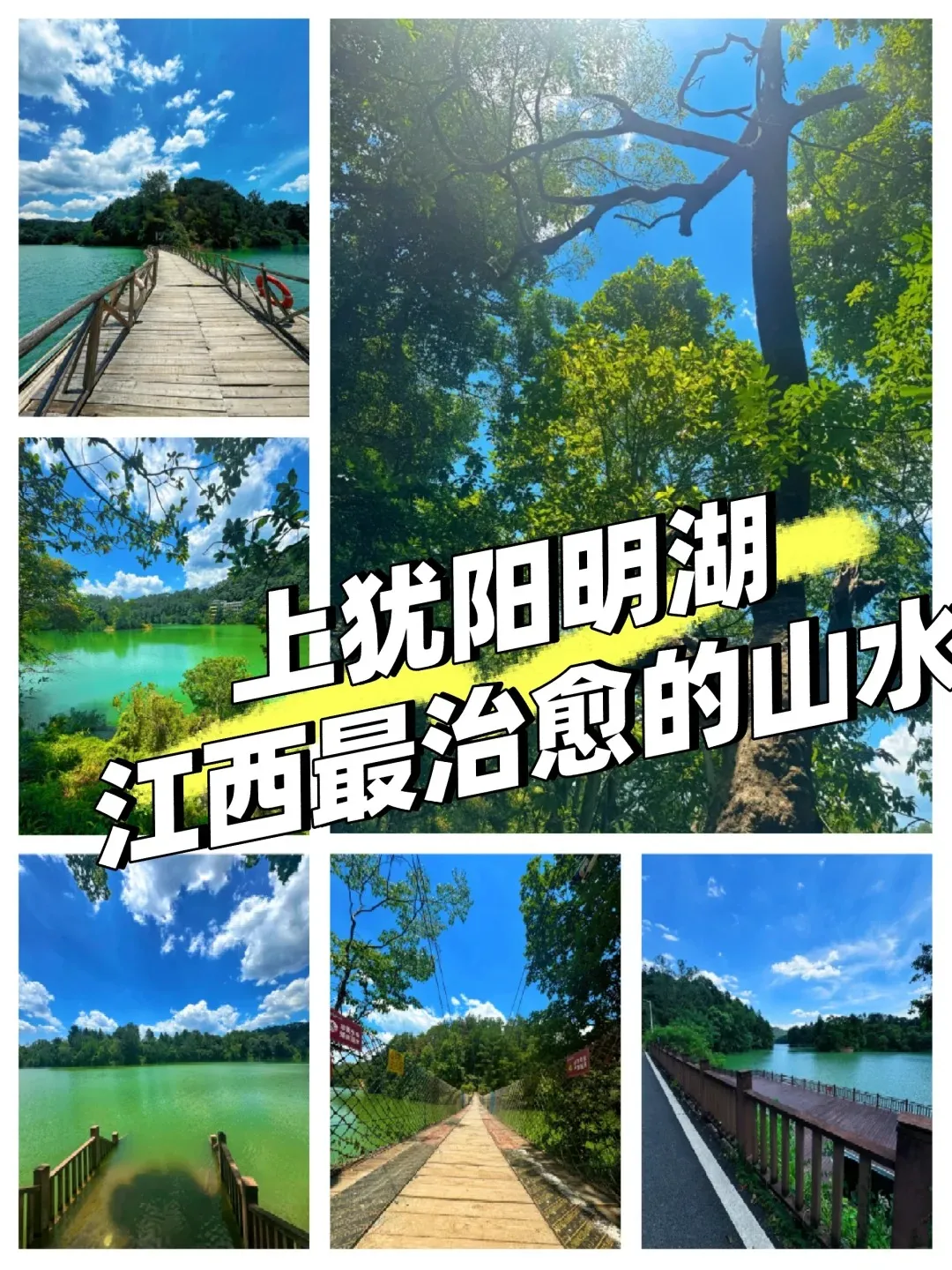 f131061d6a9cf802cb965de7a21d8ffa-sz_503576 f131061d6a9cf802cb965de7a21d8ffa-sz_503576