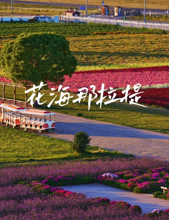 f392a77b77fa8fa0112fd3c4e1e07ca9-sz_1304465