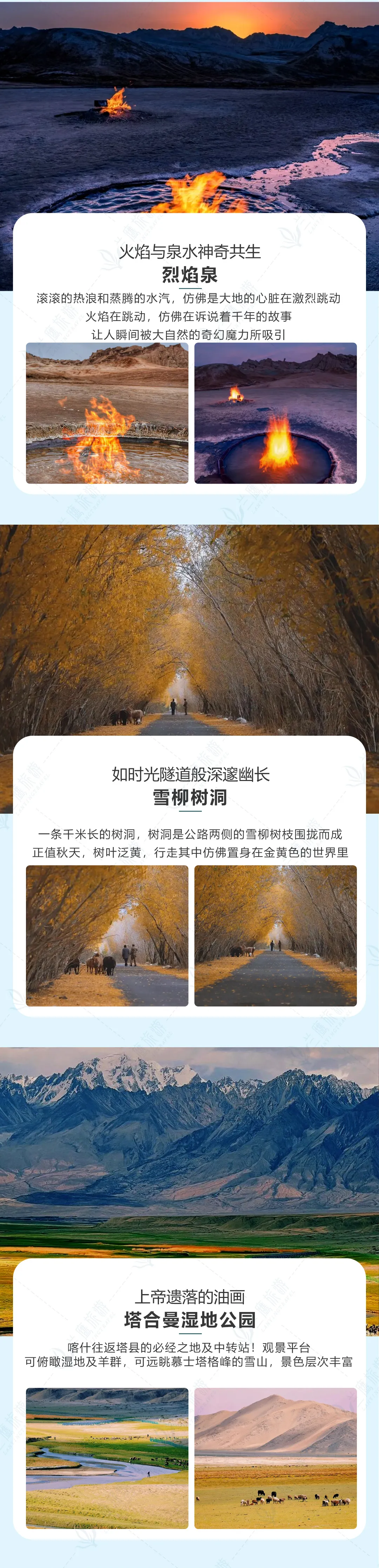 f539e20bd65632c13e7bbebdea6f78ef-sz_2030012