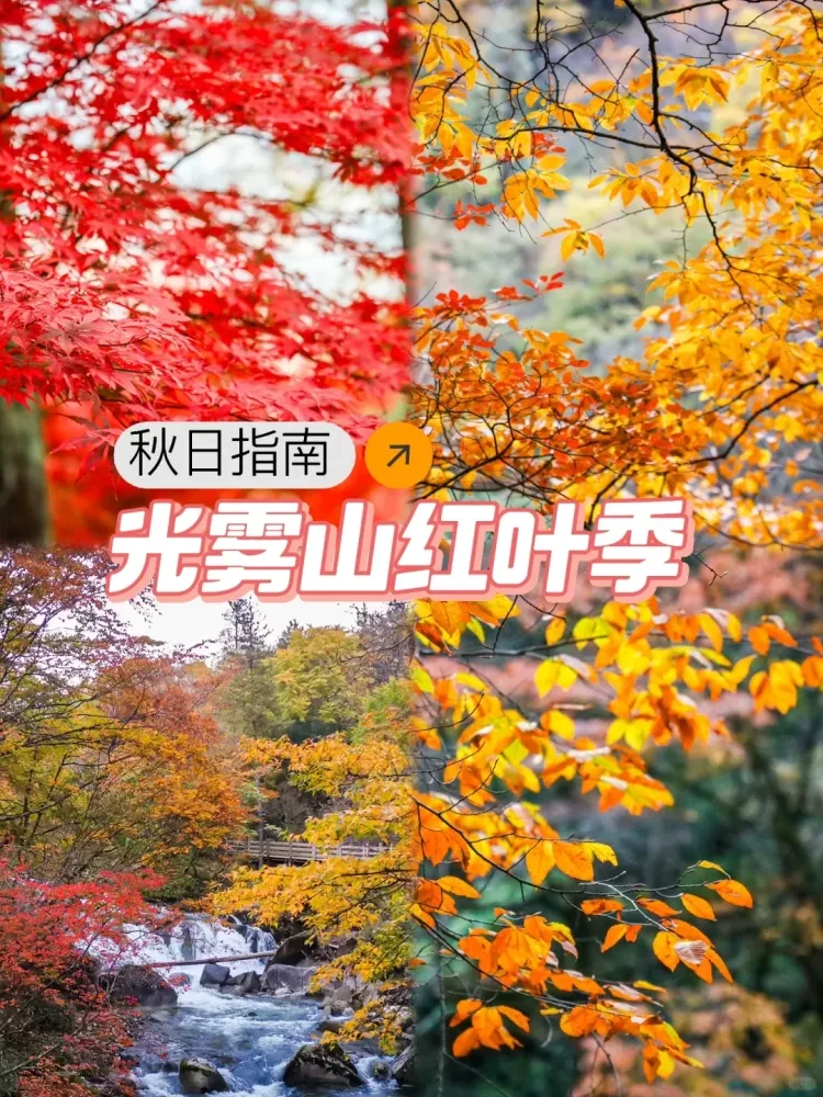 fe5564548420e83871ebf5f126823f66-sz_4133340