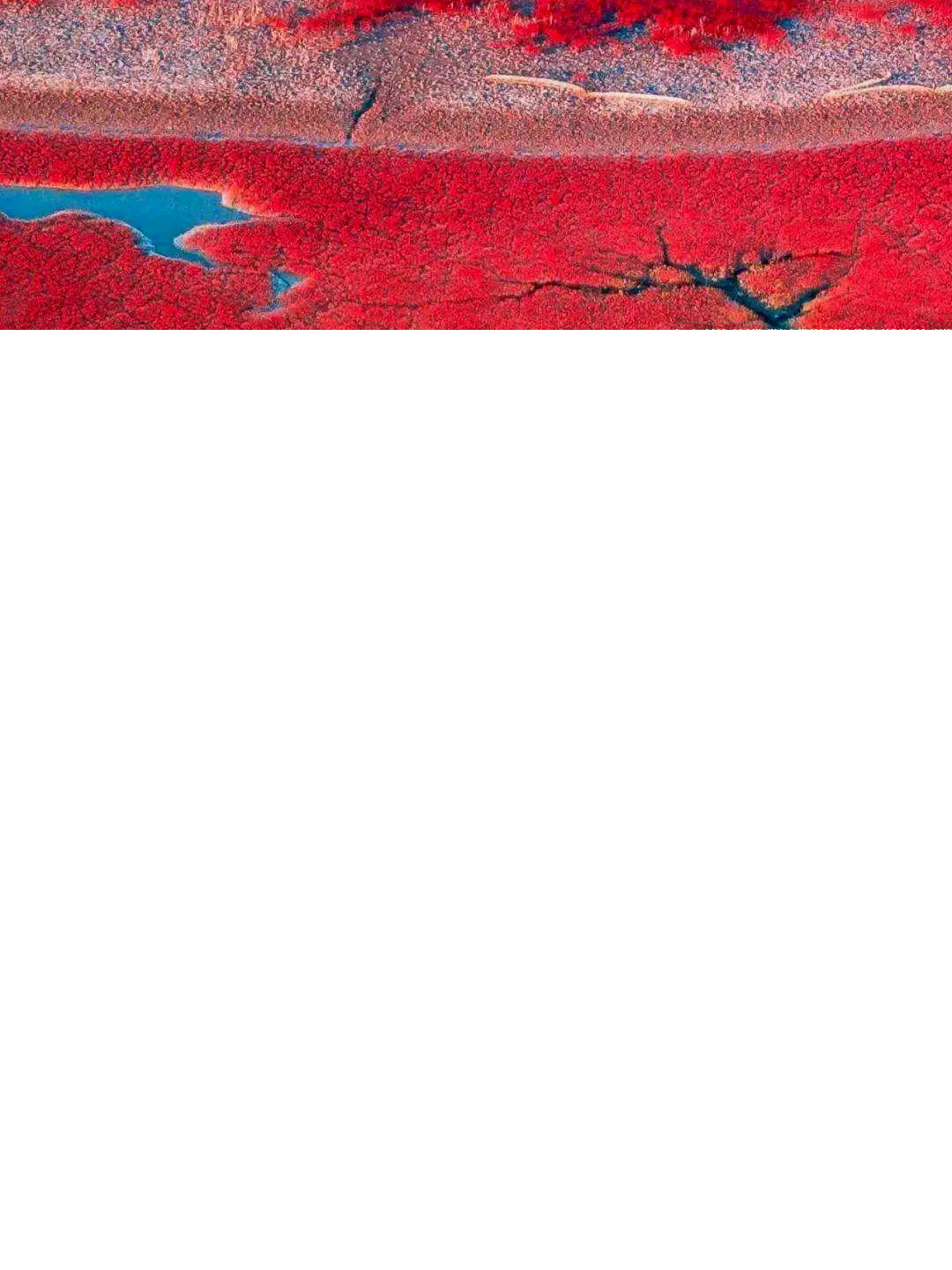 spfMCteNDVcRdwin spfMCteNDVcRdwin