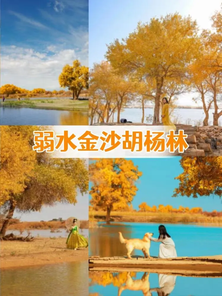 0574cd0e4b3ac105bdd560e7f36d0713-sz_234942 0574cd0e4b3ac105bdd560e7f36d0713-sz_234942