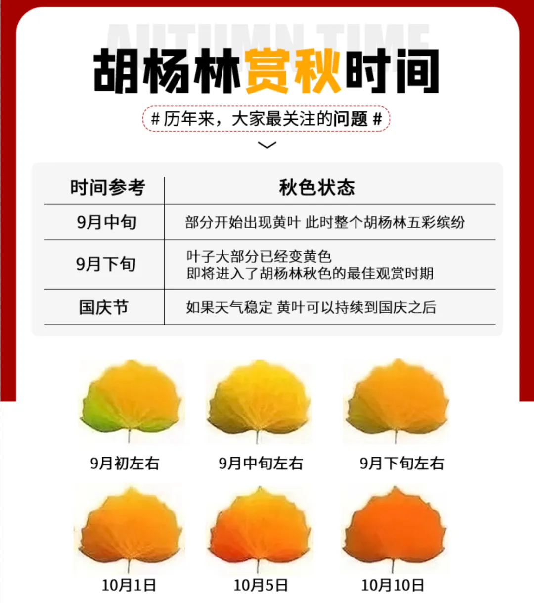 09d85709d48b63216d26deeecf7055a9-sz_490213 09d85709d48b63216d26deeecf7055a9-sz_490213