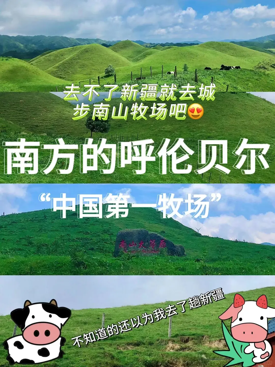 0b7bf155ff002d5e5952fd0a81481123-sz_3199014
