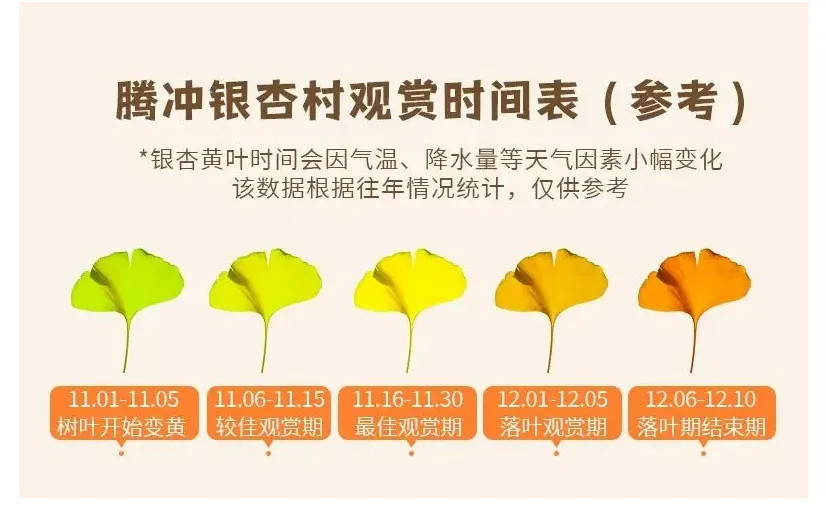 1276ec0165823a8cd5410ea79ad8a200-sz_378258 1276ec0165823a8cd5410ea79ad8a200-sz_378258