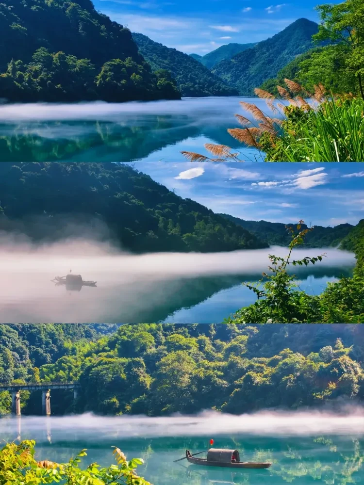 133c2b36faefb0db4a20c0c0eb39fac2-sz_2967572 133c2b36faefb0db4a20c0c0eb39fac2-sz_2967572