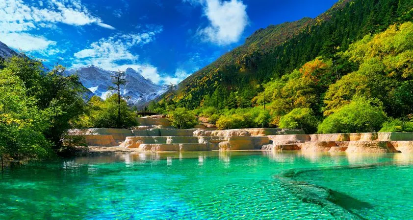 四川的秋景“开挂”了❗️爆款纯玩💯性价比❤升级5晚4钻【四川大全景】2+1保姆车❤九寨沟+黄龙+乐山大佛+峨眉山金顶+都江堰+熊猫乐园+黄龙溪古镇·双卧10日