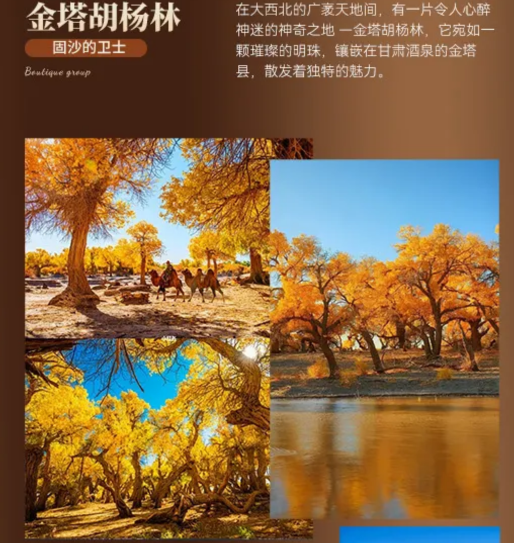 178f72e0ef875dd8e3529bc5ce8cd282
