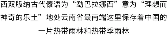 17e77f331d15976af51428f1f3e032e4-sz_79024 17e77f331d15976af51428f1f3e032e4-sz_79024