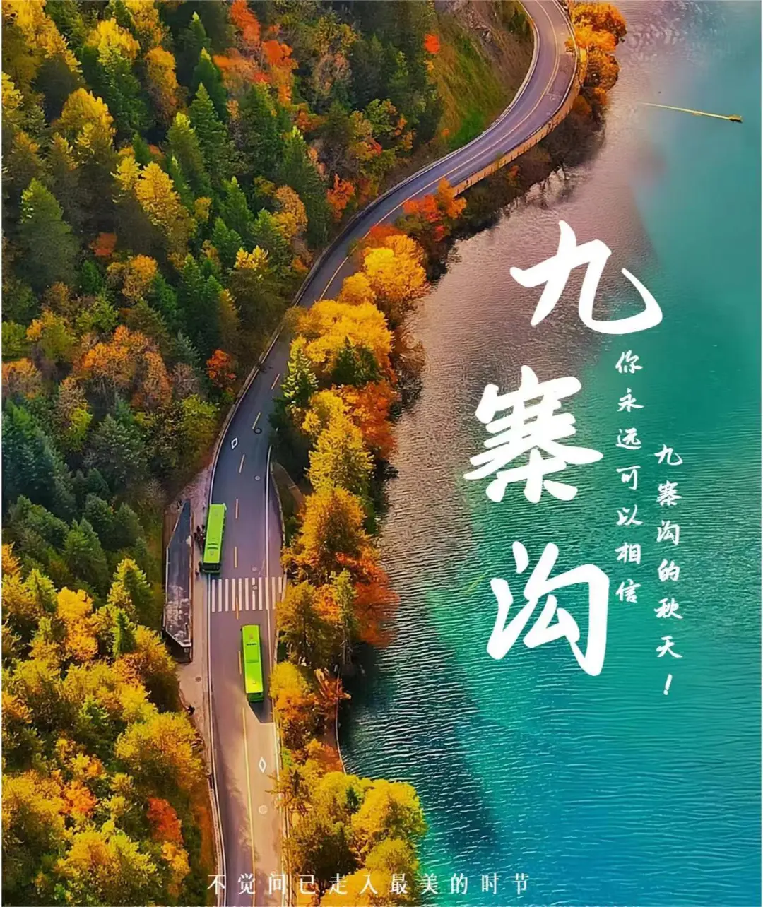 ☁金秋·彩林盛景·年仅3班✨错过等一年！纯玩团·0购物丨全程网评4钻酒店丨上海自组团·行程升级2+1保姆车丨享7大特色美食