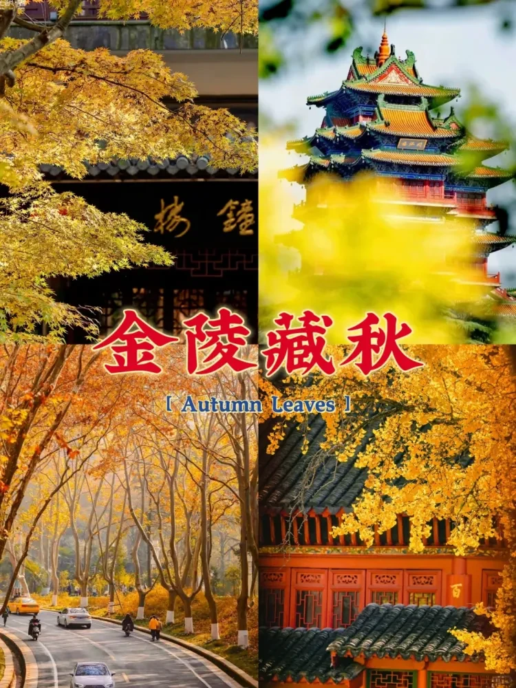 1ad3c70c10665d1473977b7acd0deb8a-sz_3880085
