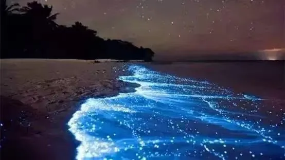 20c3e15b29ce6da4f036176ea1dfd12d-sz_98291 20c3e15b29ce6da4f036176ea1dfd12d-sz_98291