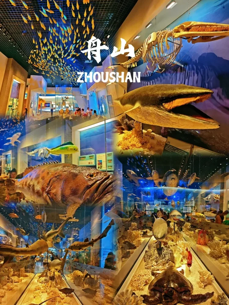 223f636b9a29c8852a5089417f00f88d-sz_4062158