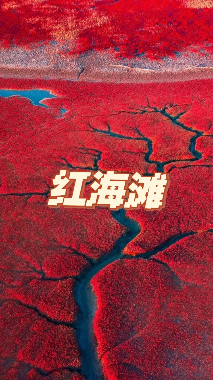 2675a8143f49ba37fcb19c2b573dbcef-sz_534931 2675a8143f49ba37fcb19c2b573dbcef-sz_534931