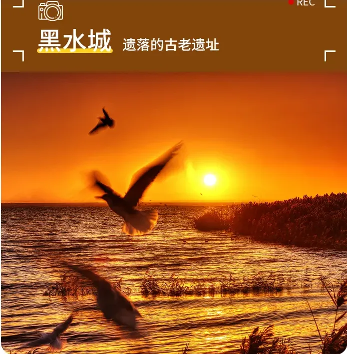 267f37e78e17e951bbe2c73e58926905-sz_908628