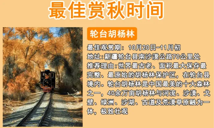 27d8045e912a55d462df6ee7d214ea79-sz_543816 27d8045e912a55d462df6ee7d214ea79-sz_543816