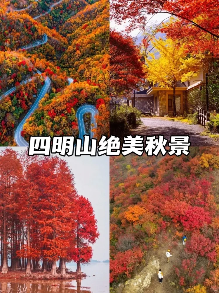 2eab8ed01d642143a2b0c68e5954a2d3-sz_4190892 2eab8ed01d642143a2b0c68e5954a2d3-sz_4190892