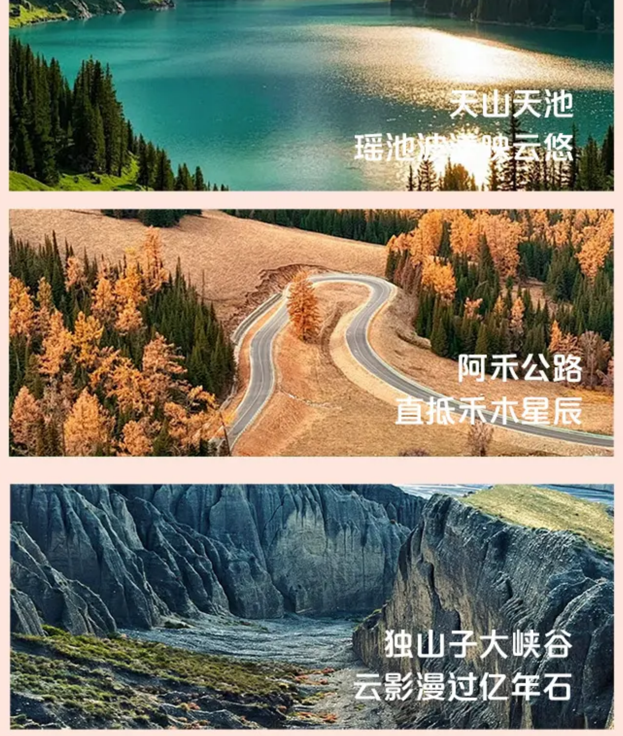 2ec5b33a9f0611414ef33644e31fc808 2ec5b33a9f0611414ef33644e31fc808