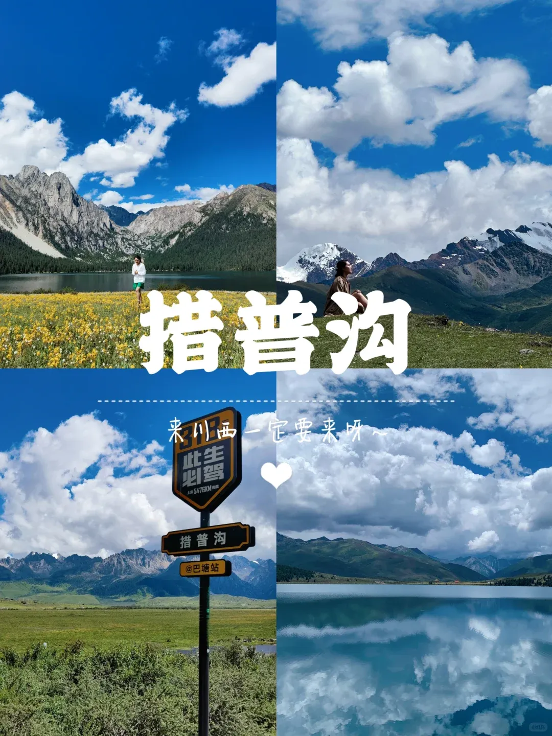 2f2836f383ff5f491fd0abab13a739eb-sz_2705653