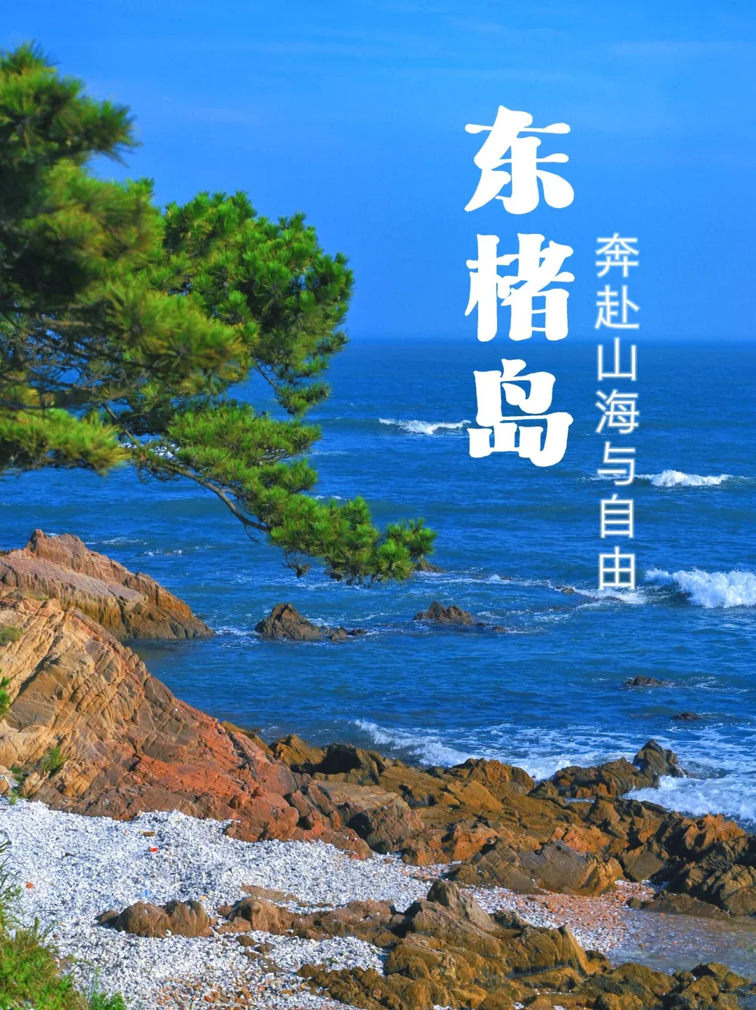 2f66480a873acd17b2004ad88d9cb8d8-sz_3298182