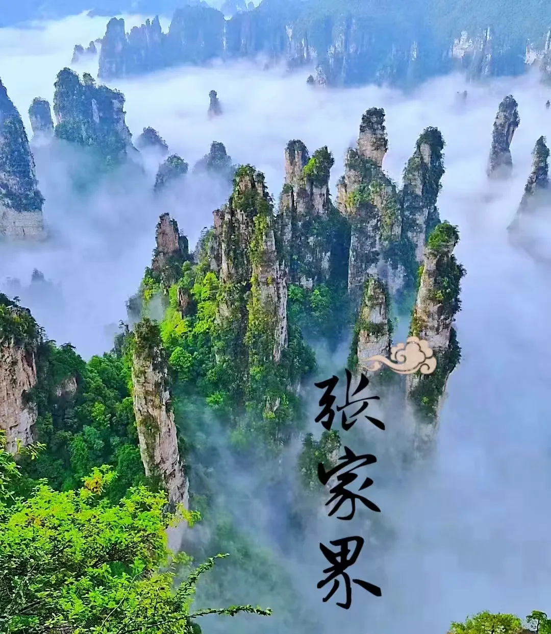 双卧纯玩1699元『完美山水张家界●伟人故里韶山行』湘西苗寨*凤凰古城*土司城*天子山*金鞭溪*天门山☞观魅力湘西晚会☞送3早5正*品湖湘美食●精品纯玩六日