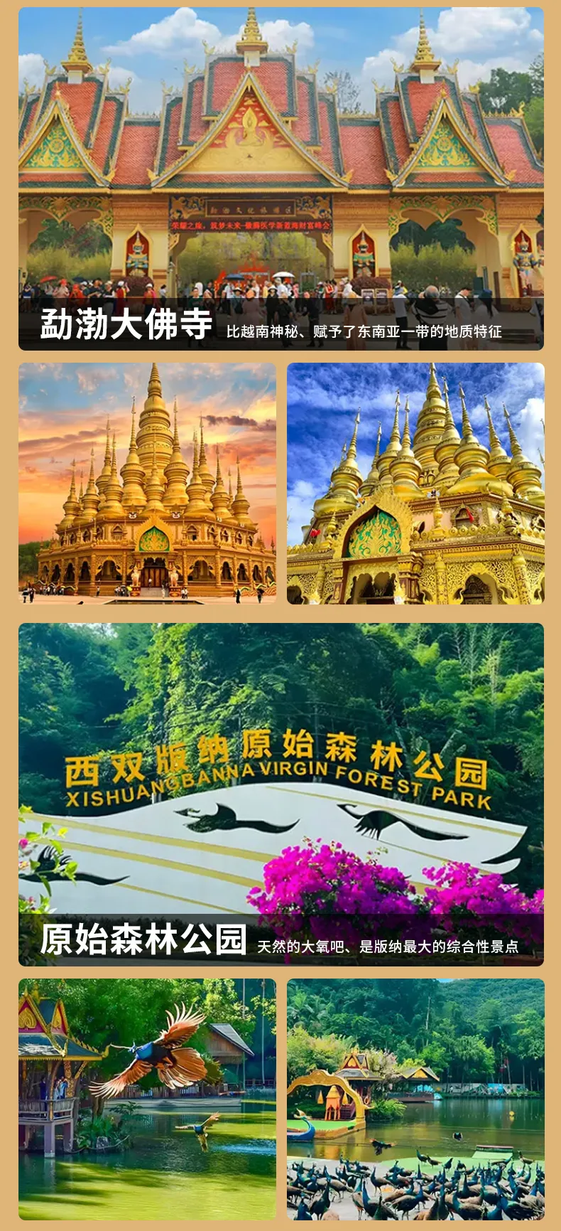 3438a03defb3cd3d7c229d257c19e995-sz_1173306