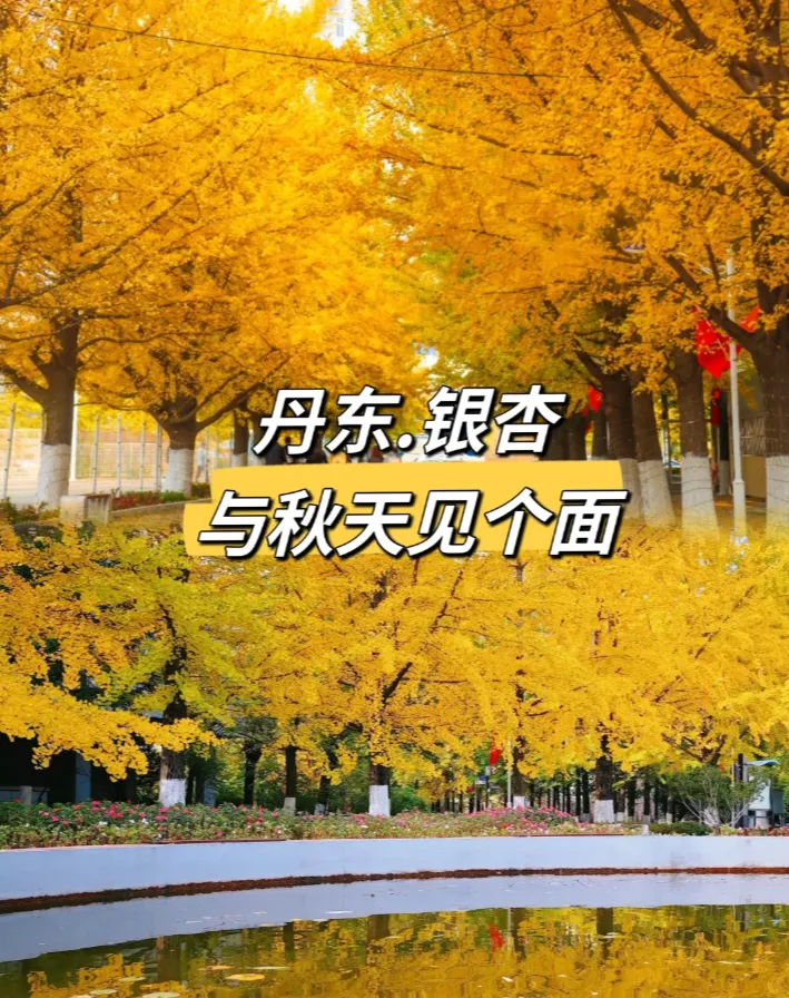 3b8f06fe2811895818b0539cb6b8ab35-sz_1699026 3b8f06fe2811895818b0539cb6b8ab35-sz_1699026