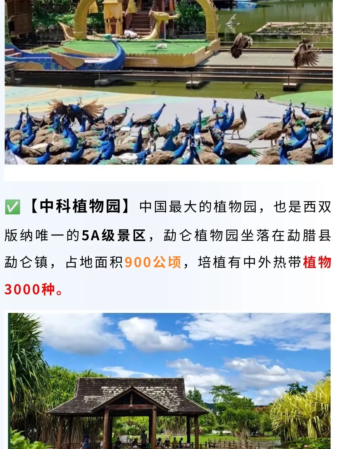 3dfb527bfc66554dd6ccca6cf0785c8f-sz_378540
