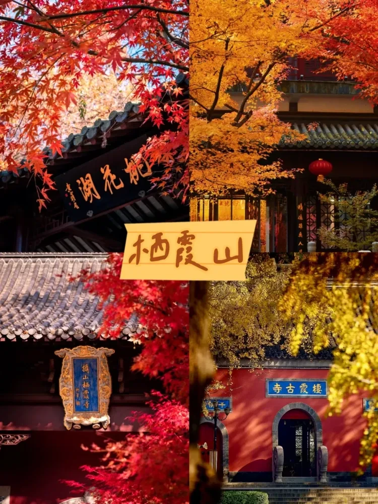 3f9508aa660f90904ba7abe4f8f77dc2-sz_3598090