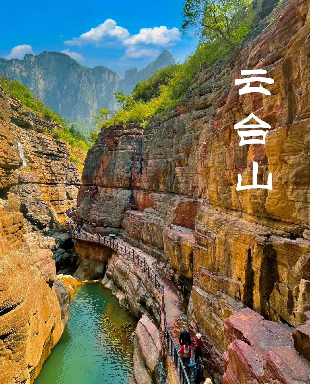 42c8e272652cddf212618cb2571e8167-sz_1119431