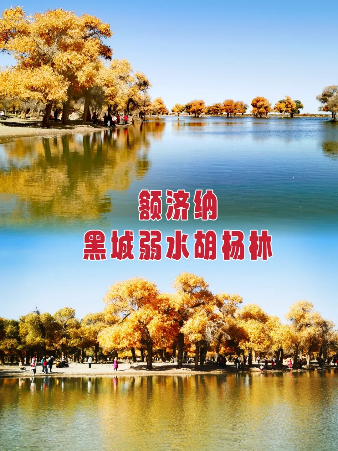 444b98fbcb9ab7b8af3cf19454ca0fb3-sz_2942398