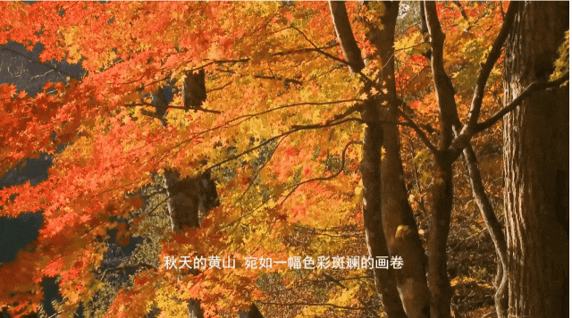 44a27e915c1189b9858bc0bcd47c07db-sz_2350346