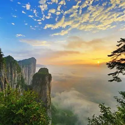 4c250f27365be68988d7a40e48deb27c-sz_48426