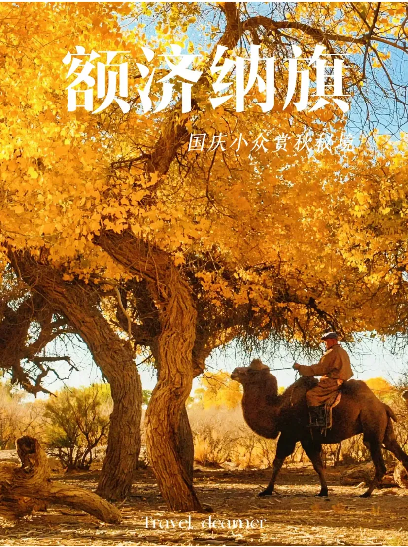 【3380起顶配额济纳旗·真纯玩双飞八日/双卧十日】三晚四钻宾馆｜指定班期升级2+1保姆车｜赏四大胡杨林·黄河石林·平山湖大峡谷·天梯山石窟·西汉胜迹