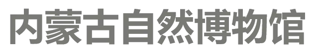 4d60dd8fe55b6cce1beb5f63a7b52b08-sz_10698