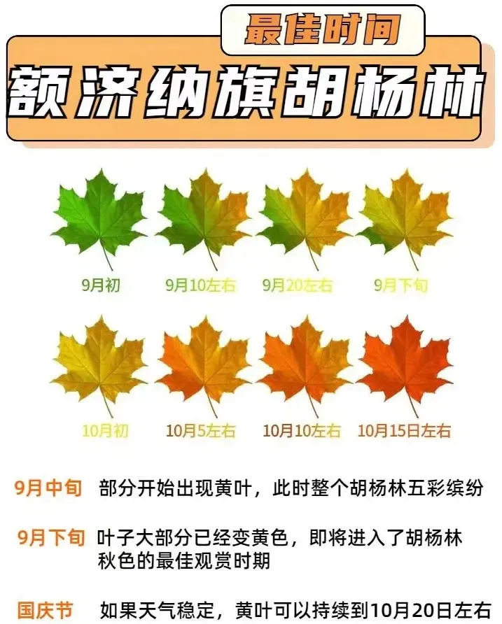 4d82a00ec919936f275f18cd4704ab6b-sz_709469 4d82a00ec919936f275f18cd4704ab6b-sz_709469