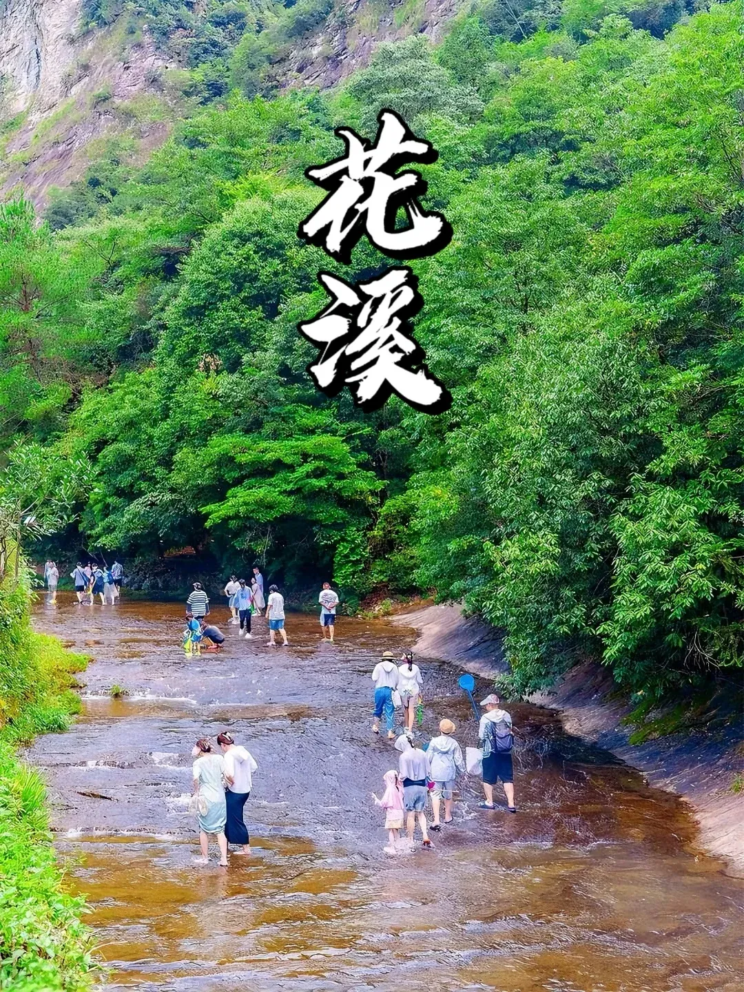 4f14c73457d03e6d9154d409a39ed53c-sz_4732129