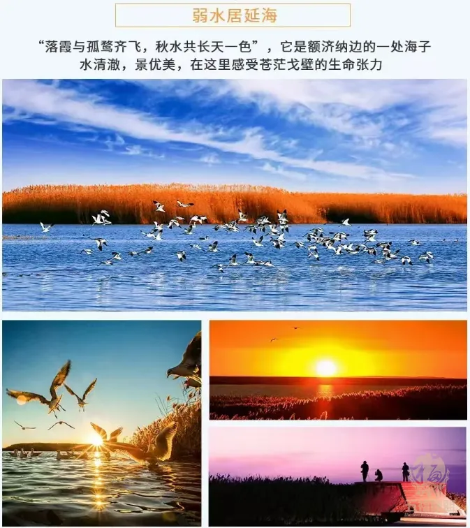 503de008061f7225ac925104e9923f4c-sz_1128776