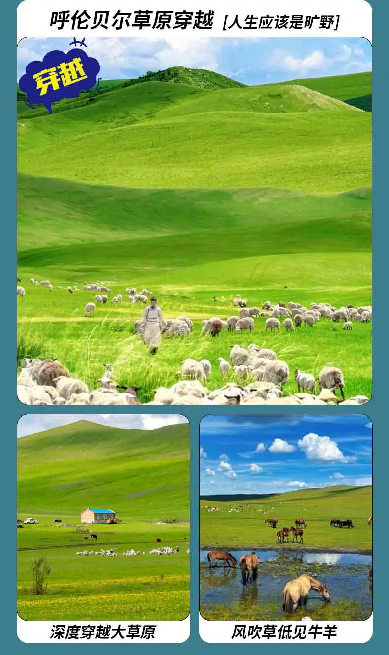 505c268d3e8f40ca407a26152cb5c4e6-sz_83249 505c268d3e8f40ca407a26152cb5c4e6-sz_83249