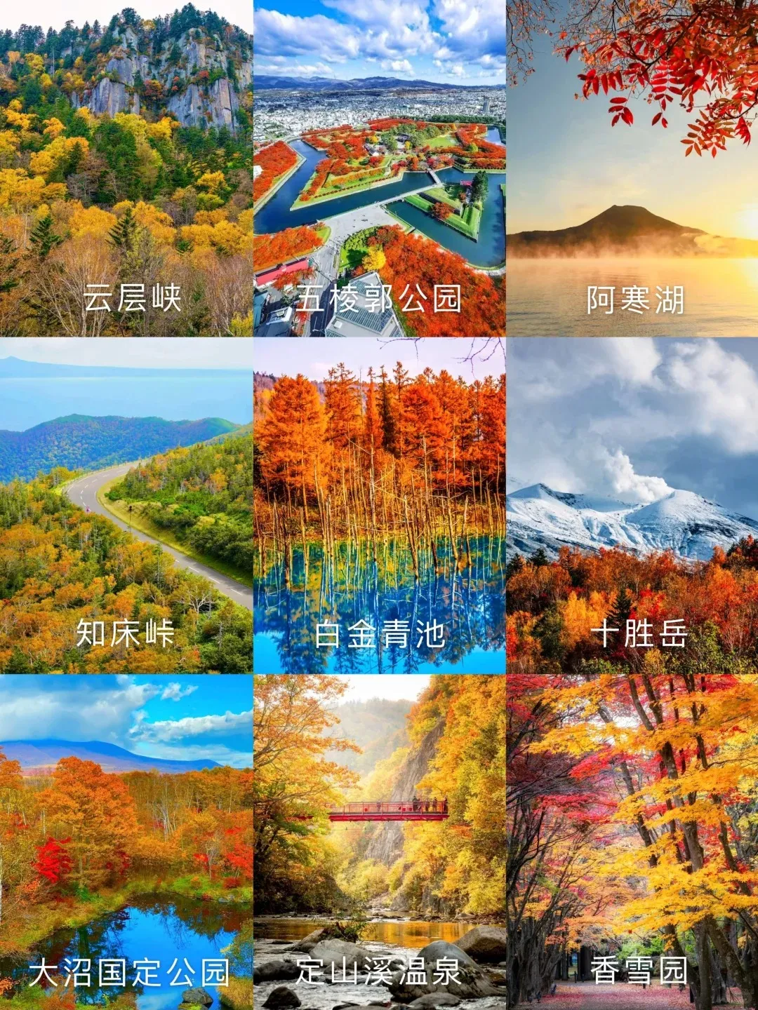 53d472034a465acd08ef8dbdcf80b397-sz_706699-1