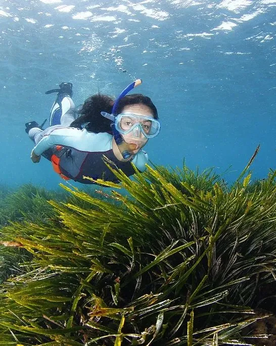 557759709be6e715bf786e8ab341cde8-sz_110924 557759709be6e715bf786e8ab341cde8-sz_110924