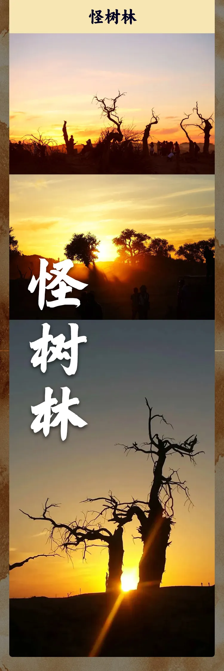 55a6c505f119454f51bc8ced1e906323-sz_768602